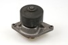 HEPU P1190 Pompă de apă, răcire motor