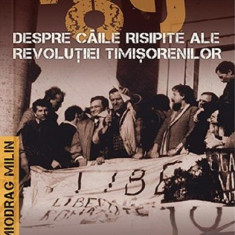 '89 despre caile risipite ale revolutiei timisorenilor (vol. 2)