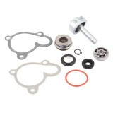 Cumpara ieftin Kit reparatie pompa apa ATV Linhai 250-300cc