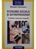 Mihaela Vlasceanu - Economie sociala si antreprenoriat (Editia: 2010)