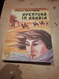 Pierre apesteguy-aventura in arabia