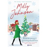Kar&aacute;csonyi gyermek&aacute;ld&aacute;s - Milly Johnson