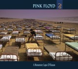 A Momentary Lapse Of Reason | Pink Floyd