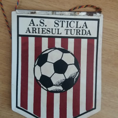 M3 C7 - Tematica cluburi sportive - Asociatia sportiva Sticla Ariesul Turda