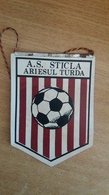 D9 1 - fanion - sport - cluburi sportive - Asociatia sportiva Sticla Ariesul Turda foto