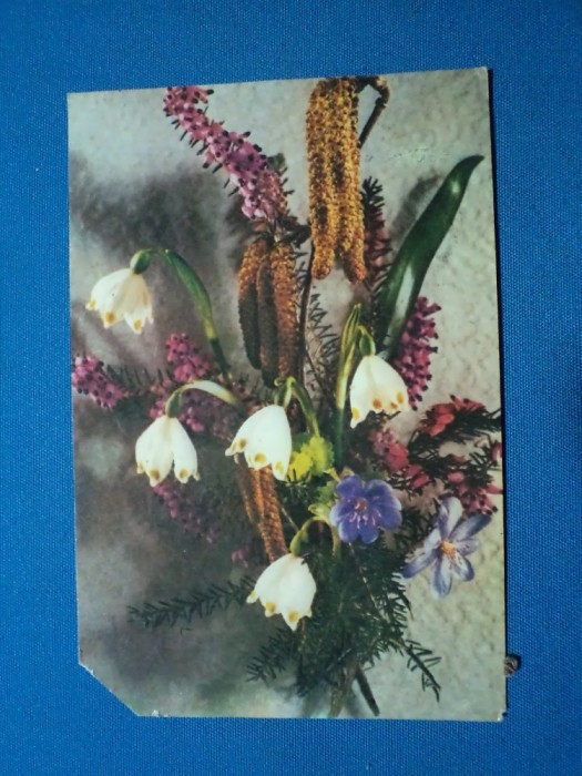 CARTE POSTALA BUCHET DE FLORI