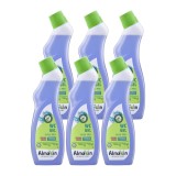 AlmaWin Gel WC pentru Curatare Igienizare Toaleta, Actiune Anticalcar, Pachet 6 x 750 ml