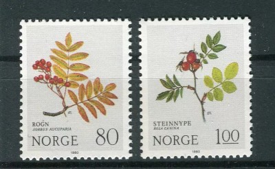 Norvegia 1980 - Craciun, plante, serie neuzata foto