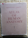 ATLAS OF HUMAN ANATOMY - R. D. SINELNIKOV VOL 1 (LIMBA ENGLEZA)