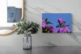 Tablou Canvas, "Flori mov sub cer senin", Flori, Mov, Cer, Albastru, Frunze, Verde, Primăvară, Soare, 39 x 26 cm, CMCLASS