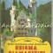 Enigma Diamantului - Stefan Dumitrescu, Ioan Dumitrescu