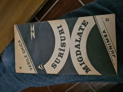 Surasuri migdalate-Vasile Ghica foto