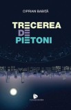 Trecerea de pietoni - Ciprian Babita, 2020