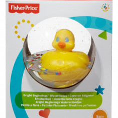 FISHER PRICE RATUSCA IN MINGE TRANSPARENTA