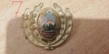 QW14 - Emblema militara / cuc - uscat - comunism - piesa de colectie