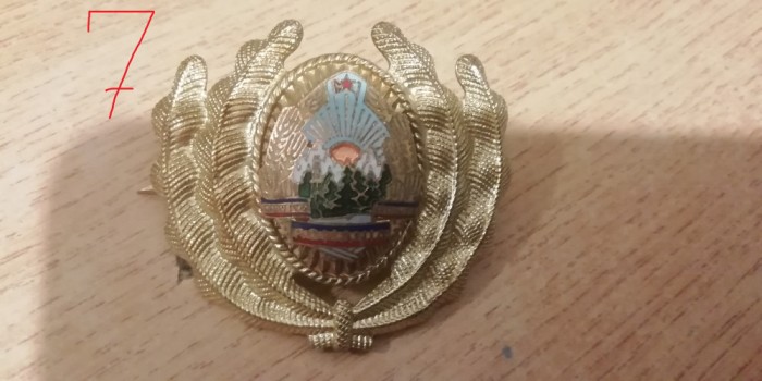 QW14 - Emblema militara / cuc - uscat - comunism - piesa de colectie