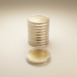 Set 10 Banuti Blank pentru Gravura, Otel Inoxidabil Auriu, cu Capsule de Protectie din Acrilic, 4 cm