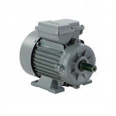 Motor electric monofazat 0.75KW, 3000RPM, B3-1 condensator foto