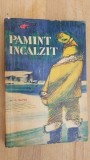 Pamant incalzit- M.G.Ravici