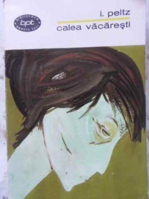 CALEA VACARESTI-I. PELTZ-274262 foto