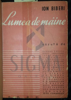 LUMEA DE MAINE foto