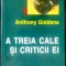 Anthony Giddens - A treia cale si criticii ei