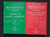 MATEMATICA MANUAL PENTRU CLASA A XI-A - Mircea Ganga (2 volume)