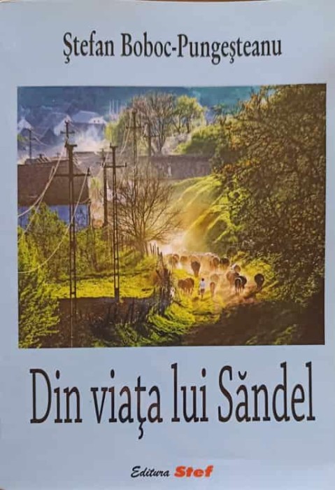 DIN VIATA LUI SANDEL-STEFAN BOBOC PUNGESTEANU-238167