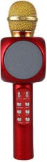 Microfon Karaoke Disco LED Handheld WS-1816 USB foto