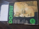 Domus - almanah al revistei steaua Pb+