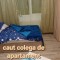 caut colega de apartament