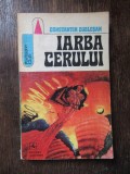 Iarba cerului - Constantin Cublesan