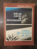 &Icirc;ntr-un cămin de domnișoare * Călător din noaptea de ajun - Anișoara Odeanu