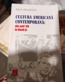 Sara Antonelli - Cultura americană contemporană: din anii &#039;60 la Bush jr