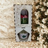 Cumpara ieftin Set Cadou Premium Christmas Tree Aroma Ajunului , Esenta Casei A Cofetaria MoE ului
