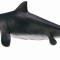 Figurina E-calibosaurus M Collecta