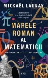 Cumpara ieftin Marele roman al matematicii. Din preistorie in zilele noastre/Mickael Launay