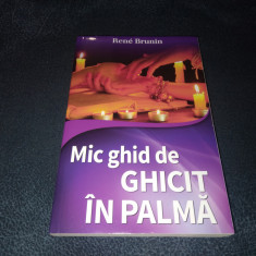 RENE BRUNIN - MIC GHID DE GHICIT IN PALMA