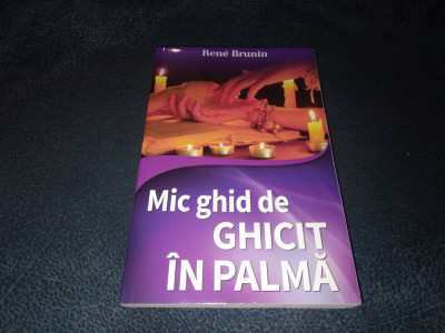 RENE BRUNIN - MIC GHID DE GHICIT IN PALMA foto