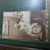 Carte postala regalitate REGINA ELISABETA