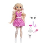 BARBIE DREAM BESTIES PAPUSA BARBIE MALIBU CU ACCESORII