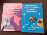 GHEORGHE ADALBERT SCHNEIDER CULEGERE DE PROBLEME DE ALGEBRA SI ANALIZA 2 VOLUME
