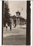 CPIB 22135 - CARTE POSTALA - BORSEC. IZVORUL HORIA, NECIRCULATA