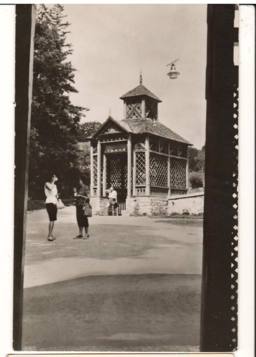 CPIB 22135 - CARTE POSTALA - BORSEC. IZVORUL HORIA, NECIRCULATA