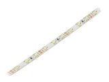 Bandă LED alb rece 3528 12V 60 LED/m 8mm IP20