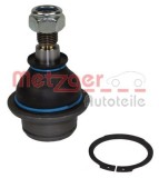 Pivot FORD TRANSIT platou / sasiu (FM, FN) (2000 - 2006) METZGER 57013618