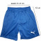 Pantaloni scurti sport PUMA DryCell (barbati S) cod-259006