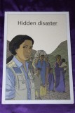 Hidden Disaster - Erik Bongers album benzi desenate educative UE engleza