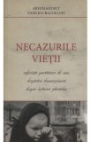 Necazurile Vietii - Arhimandrit Vasilios Bacoianis