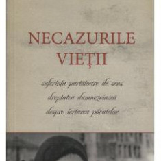 Necazurile Vietii - Arhimandrit Vasilios Bacoianis